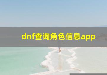 dnf查询角色信息app