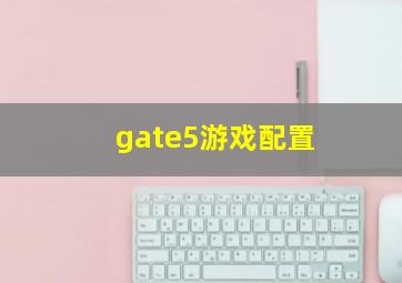 gate5游戏配置